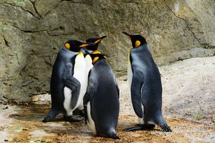 Linux, GRUB и UKI: когда попрощаемся с загрузчиком?