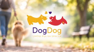 DogDog — приложение для каждого владельца собаки